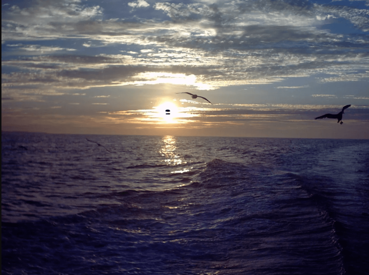 Water and Life