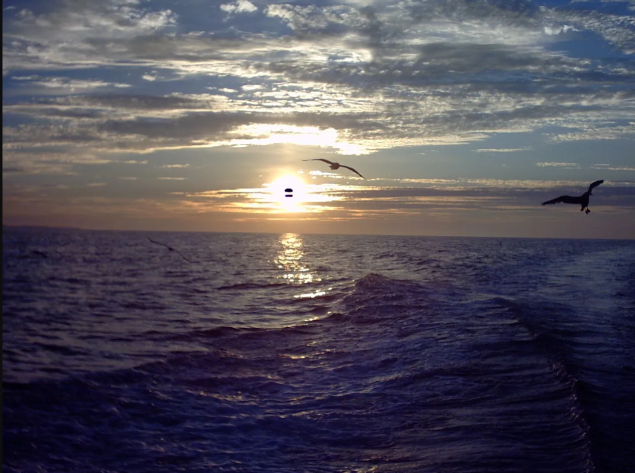 Water and Life